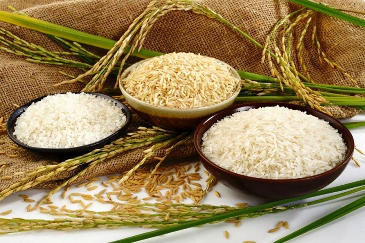 کاهش واردات برنج خارجی/ قیمت برنج خارجی افزایش نداشته است