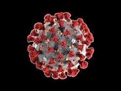 ویروس دلتا بین افراد واکسینه شده بیشتر است