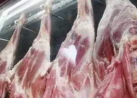 افزایش قیمت گوشت تا ۵۰ درصد/ واردات ۲۲ میلیون دلاری