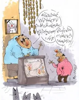 چه خبر از گربه پیشگو؟!