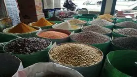 حسنی : ۷۰ درصد حبوبات بازار، وارداتی است!