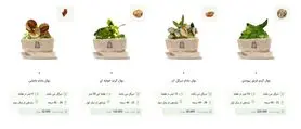 آریا نهال از سایت جدیدش رو نمایی کرد
