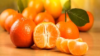 ثبات قیمت میوه به دلیل تنوع میوه های تابستانه/ برداشت نارنگی از ابتدای مهر