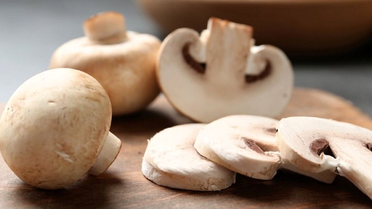 تولید قارچ به ۱۷۰ هزار تن می رسد/ قیمت هر کیلو قارچ در بازار ۶۰ هزار تومان