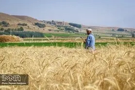 زمان بازگشایی زاینده‌رود برای کشت پاییزه اعلام نشده است