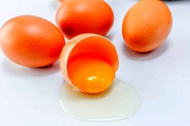 تخم مرغ باعث افزایش کلسترول خون نمی‌شود/ یک تخم مرغ معادل ۳۰ گرم انواع گوشت است