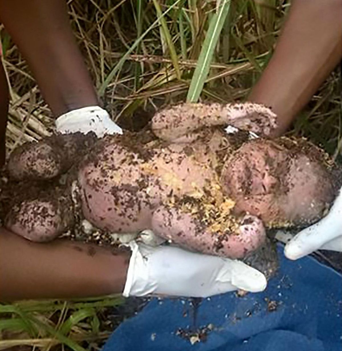 نوزاد زنده‌به‌گور شده، زنده از زیر خاک بیرون کشیده شد