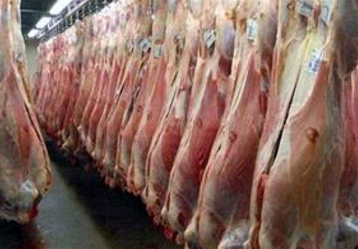 عرضه گوشت قرمز در بازار ۴۳ درصد افزایش یافت