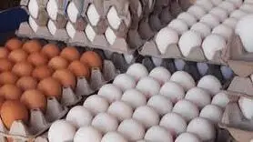 آیا تخم‌مرغ باز هم گران می‌شود؟