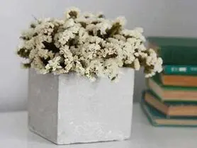 با چند مرحله به راحتی گل ها را خشک کنید