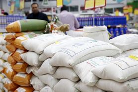 ثبت سفارش واردات برنج از ۱۰ آبان/ ۱۰۰ تا ۱۵۰ هزار تن برنج باید وارد شود
