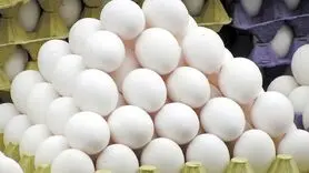 قیمت تخم مرغ در بازار چقدر است؟