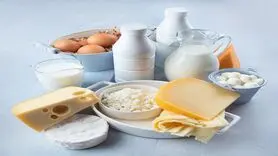 قیمت انواع لبنیات در بازار چند؟ +جدول