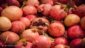 سیب زمینی گران شد/ صادرات گوجه فرنگی علت اصلی نوسان قیمت در بازار
