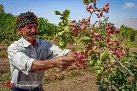 آیا پوشش بیمه‌ سلامت روستاییان و عشایر افزایش می‌یابد؟