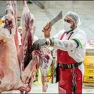سرانه مصرف گوشت قرمز ۳۶ درصد کاهش یافت