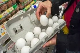 مشکل بازار تخم‌مرغ؛ افزایش سرانه مصرف تخم‌مرغ و بی‌نظمی در تأمین نهاده‌ها