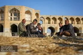 وزارت نیرو به کشاورزان غرامت پرداخت کند