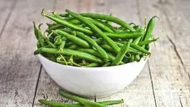 نحوه کاشت و پرورش گیاه لوبیا سبز