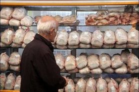 فروش مرغ بالاتر از ٣١ هزار تومان، گران‌فروشی است