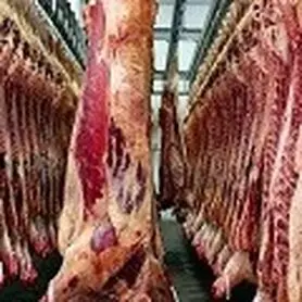 قیمت گوشت گوساله امروز