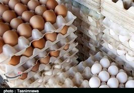 تخم مرغ های وارداتی وارد بازار شد/ اعلام قیمت مصوب انواع تخم مرغ بسته بندی