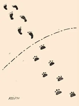 بدون شرح