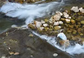 " زر چشمه " شهرضا گردشگران را فرا میخواند