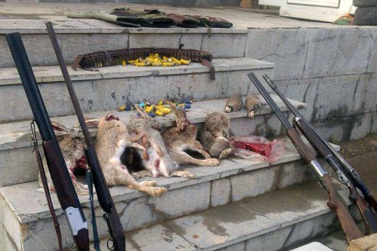 شکارچیان به ۴۰ بار مشق عبارت «دوست داشتن حیات‌وحش» محکوم شدند