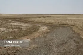  مرز فاجعه
