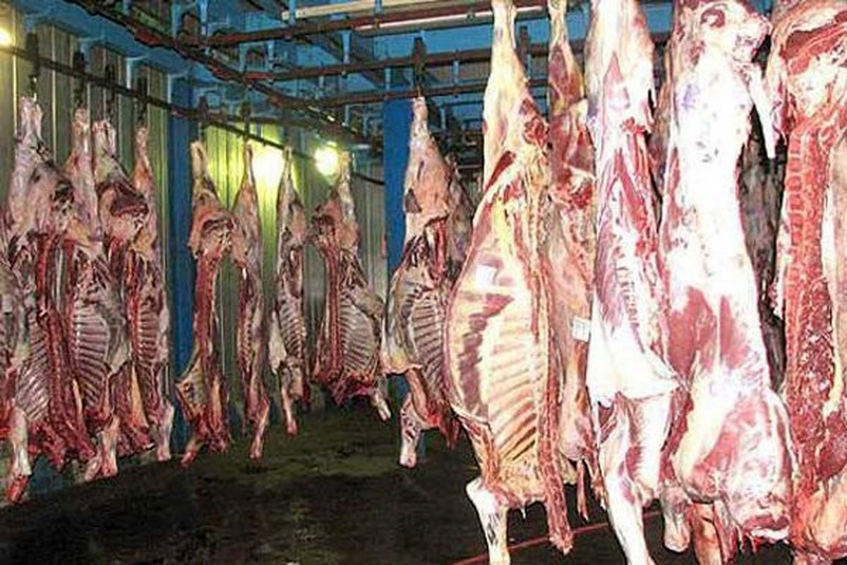 ۴۱۰ کیلوگرم گوشت غیرقابل مصرف درخمینی شهر معدوم شد