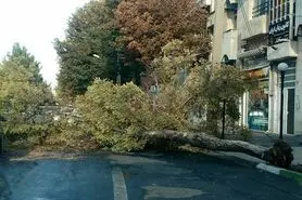 فرماندار خور و بیابانک:خسارتی نداشتیم