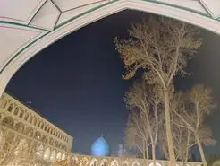 کاریکاتوری از شهر