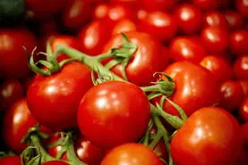 خواص گوجه‌فرنگی برای بدن | معجزه‌ای طبیعی برای پوست، قلب و بینایی