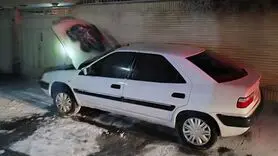 شعله‌های «زانتیا» در نظر غربی خاموش شد؛ مهار آتش پیش از فاجعه
