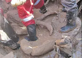 حوادث کار در ۴ ماه جان ۴۹ نفر را گرفت