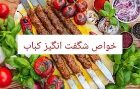 12 خواص شگفت انگیز کباب با مضرات، طبع و مصلح آن