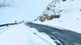 ازگشایی کامل محورهای اصلی اصفهان؛ نبرد شبانه‌روزی راهداری با برف در غرب و جنوب استان