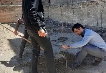 اقدام تحسین برانگیز قاضی برای حکم کاشت درخت 