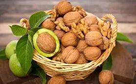 تعبیر خواب گردو|نماد ثروت، فرزند،علم یا هشدار؟ بررسی معبران